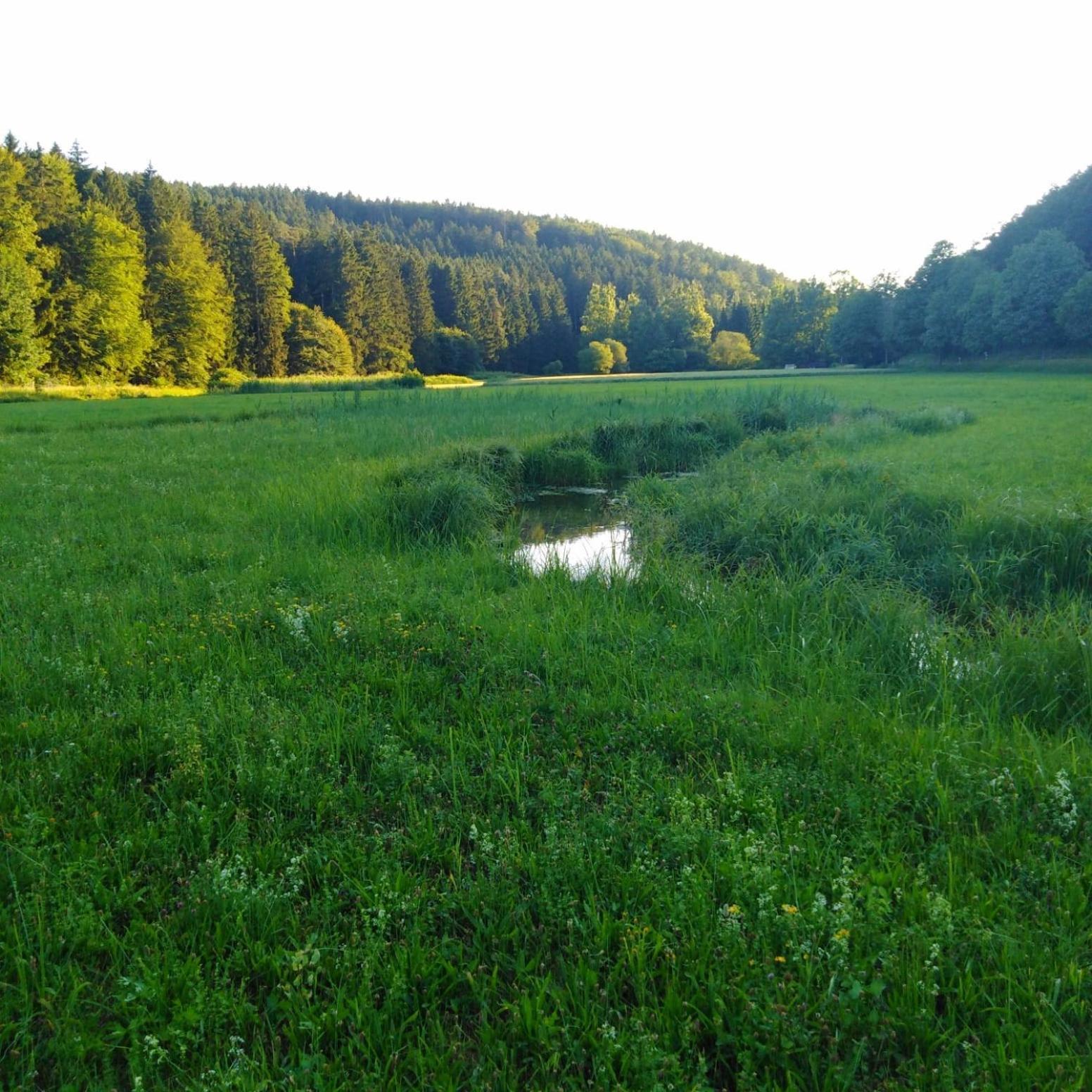 Ferienhaus Am Bach Mit Grossem Garten Deuerling エクステリア 写真